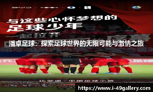 潘卓足球：探索足球世界的无限可能与激情之旅
